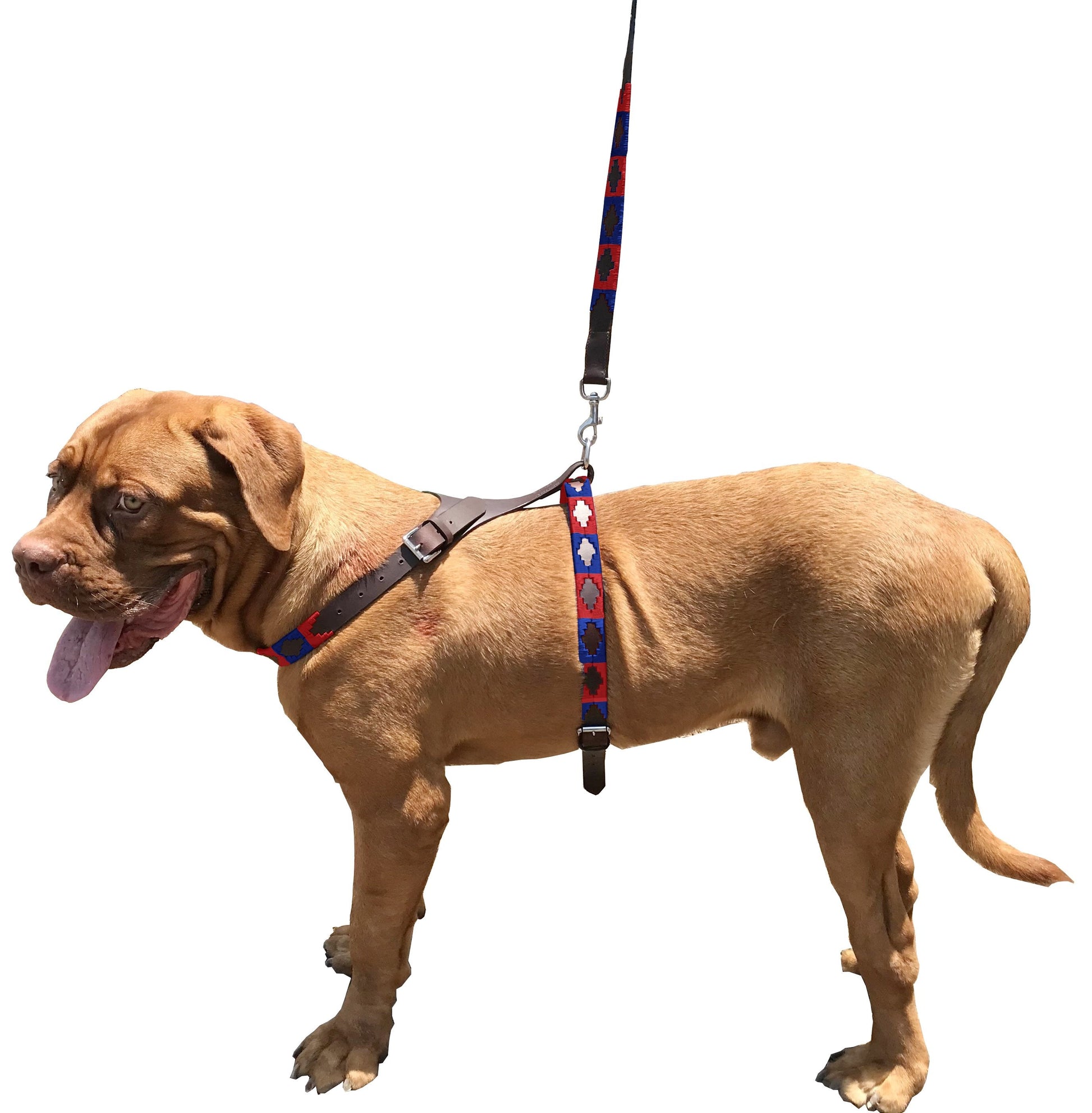 BAHÍA - Polo Dog Harness & Lead Set-0