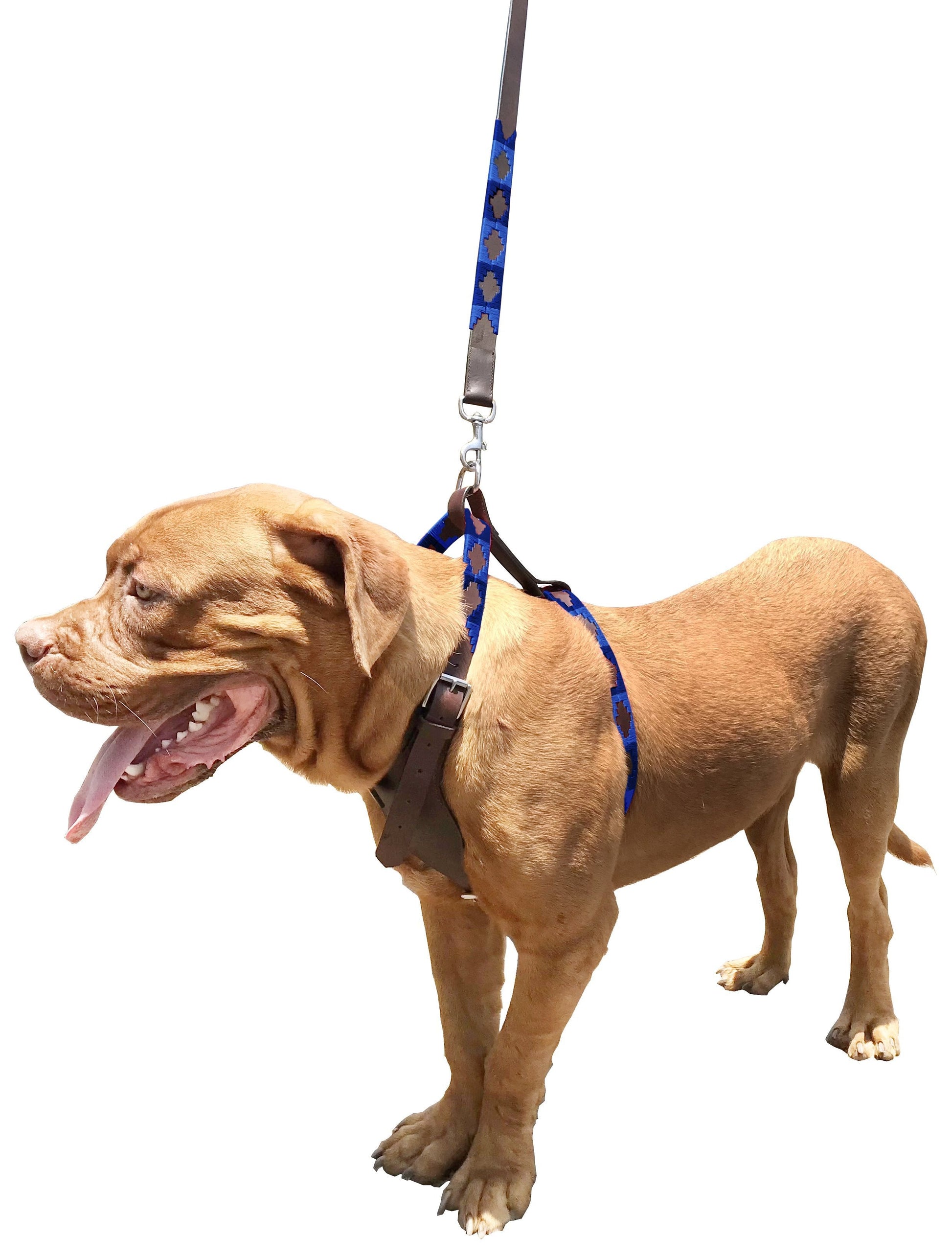 DE JULIO - Polo Dog Harness & Lead Set-0