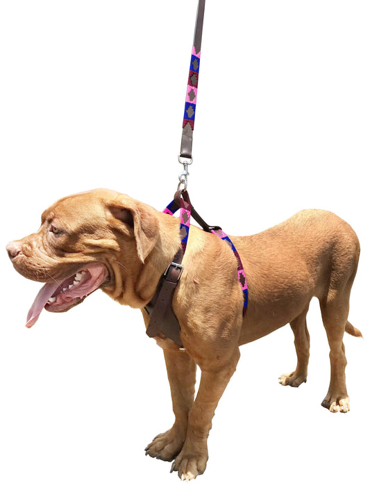 LA PLATA - Polo Dog Harness & Lead Set-0