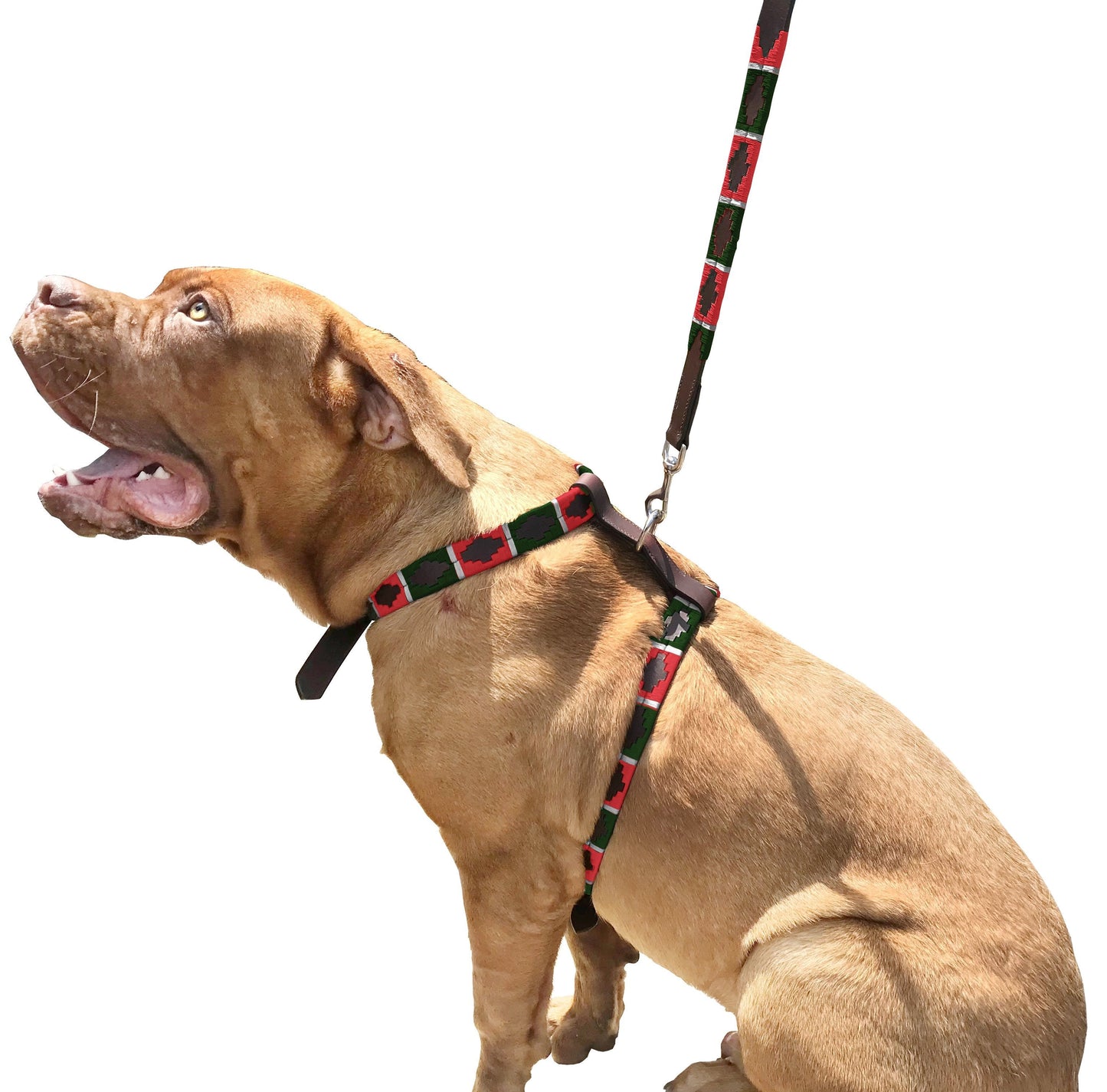 GARÍN - Polo Dog Harness & Lead Set-0