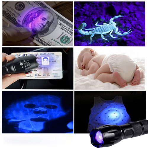 Super Bright Rechargeable LED Flashlight UV Ultra Violet Torch Light