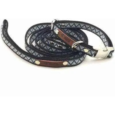 Chic Pooch Handcrafted Lead: Enchanted Designer Dog Lead-3