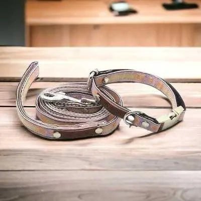 Designer Doggo Delight Set: Engraved Buckle Collar-0