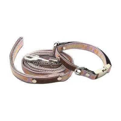 Designer Doggo Delight Set: Engraved Buckle Collar-1