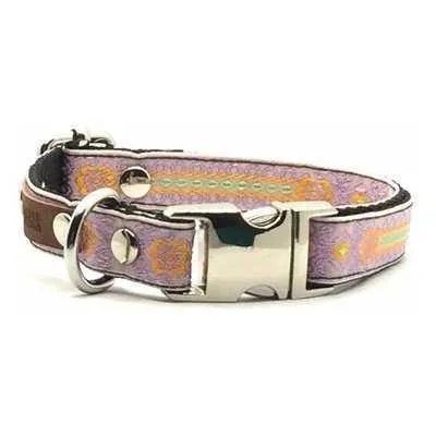 Designer Doggo Delight Set: Engraved Buckle Collar-4