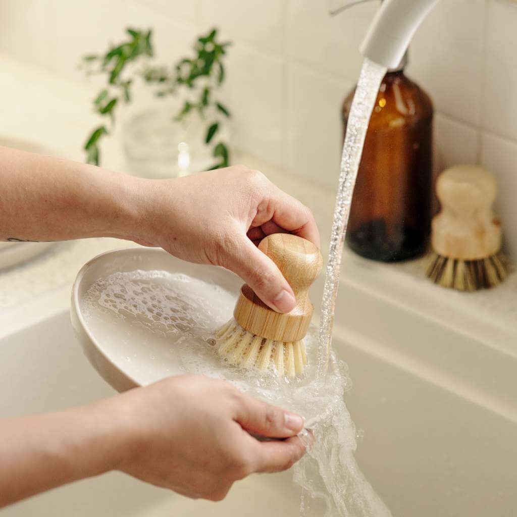 Pots & Pans Scrubbing Brushes (Set of 2)-2