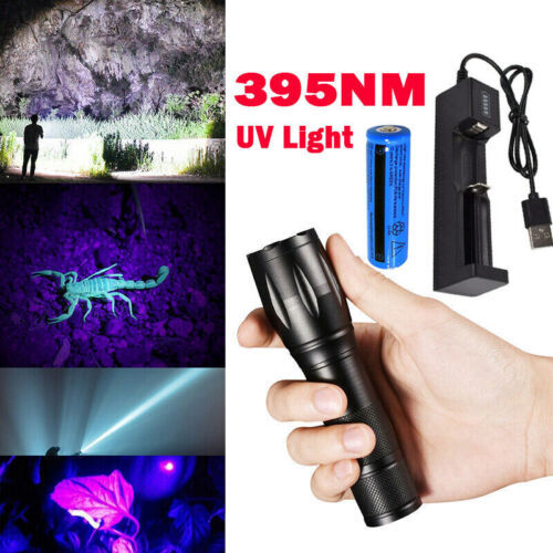 Super Bright Rechargeable LED Flashlight UV Ultra Violet Torch Light