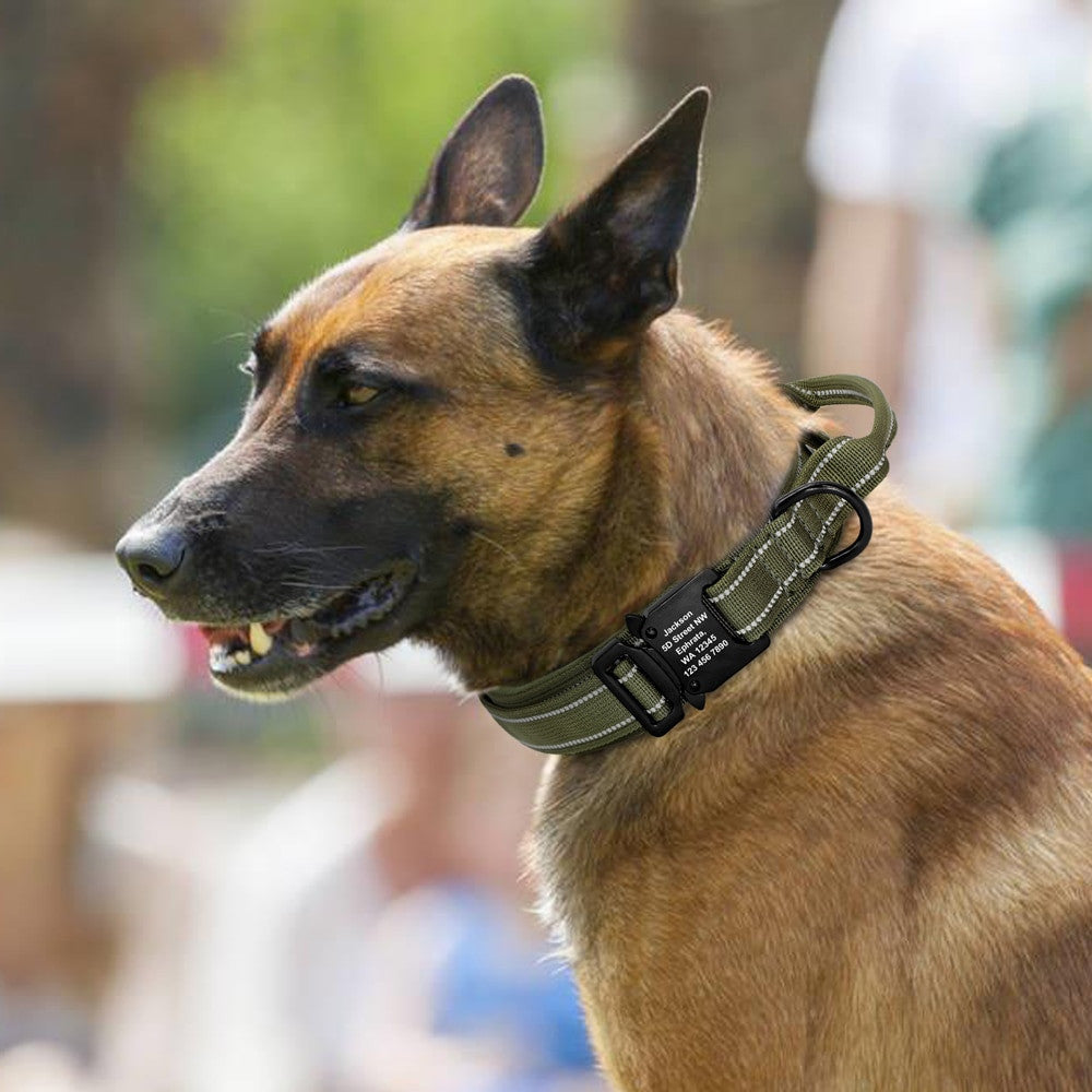 Personalized Military Tactical Dog Collar-4