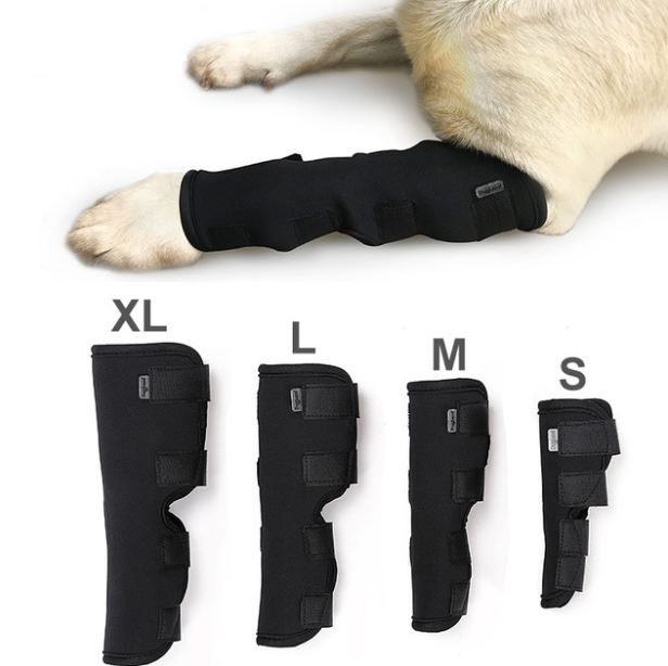 Dog Leggings Injury Prevention Licking-4