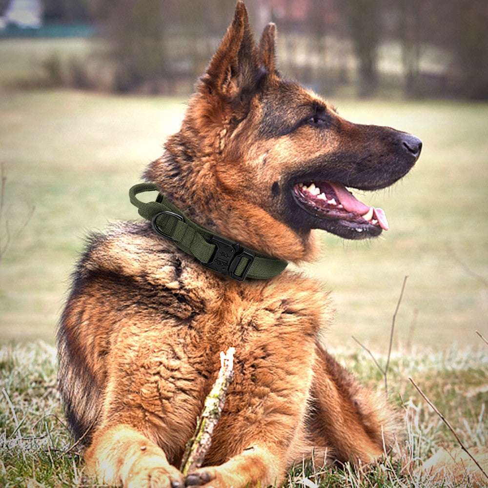 Tactical Dog Collar-3