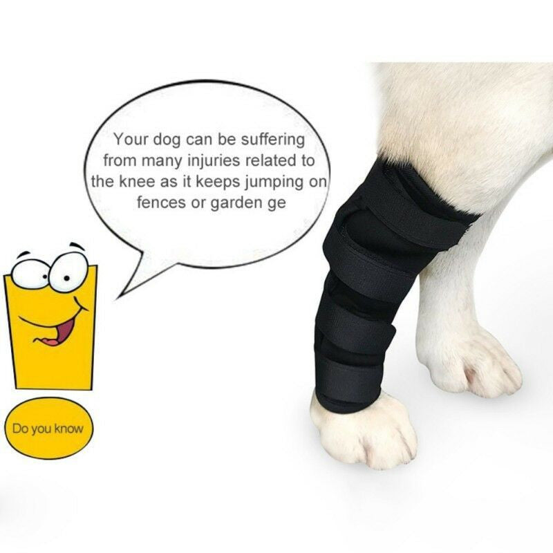 Dog Leggings Injury Prevention Licking-2