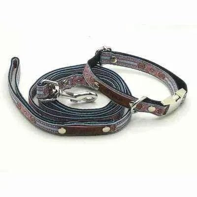 Finnigan's Designer Delight Dog Collar Set-1