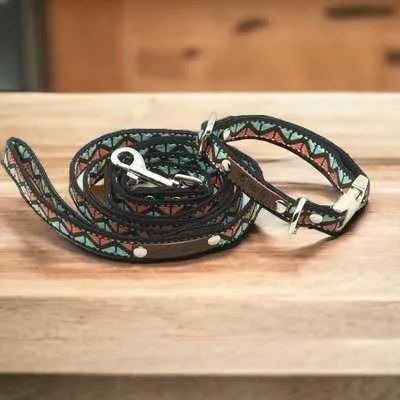 Finnigan's Whimsical Designer Dog Collar Set-0