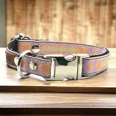 Petite Pooch Chic Cotton Collar-0