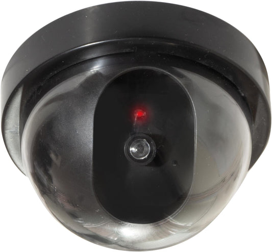 Eagle Dummy Dome Surveillance Camera-0