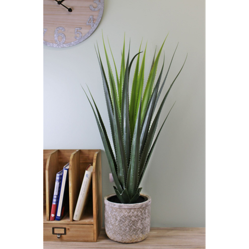 Artificial Aloe Vera Plant, 80cm